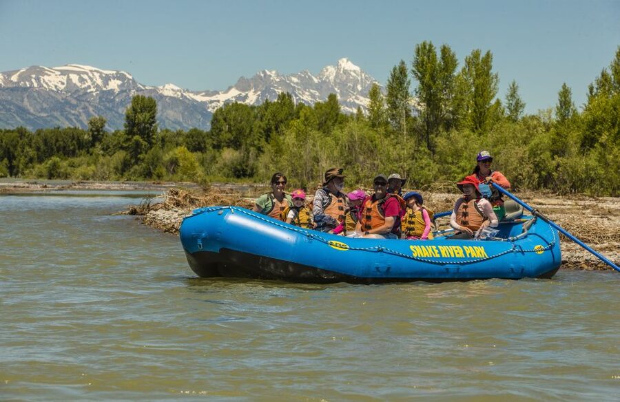 Snake River: 13-Mile Scenic Float with Teton Views - Birds Are Often the Most Reliable Wildlife