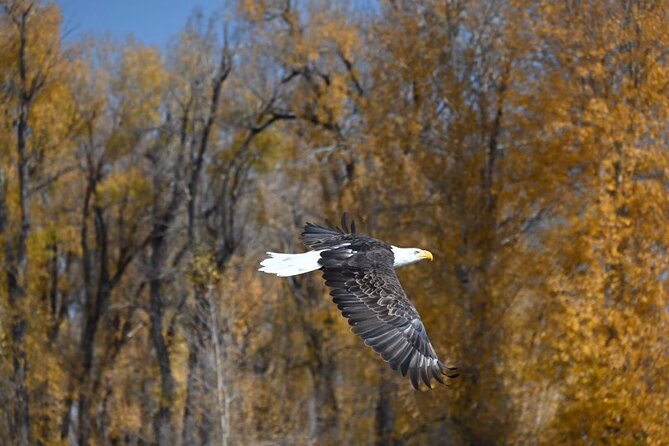 Snake River Scenic Float - Guides who make a slow trip interesting