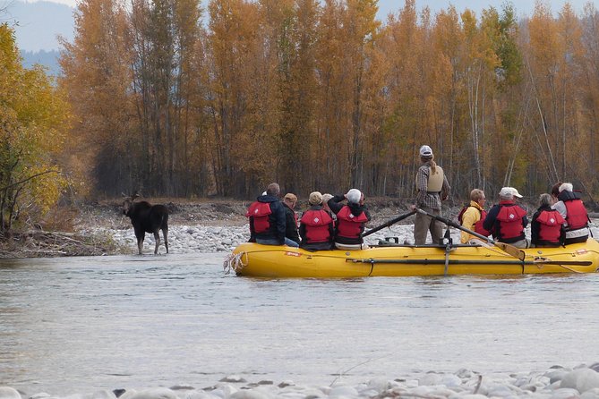 Snake River Scenic Float Trip with Teton Views in Jackson Hole - The guides make the three hours count