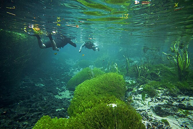 Snorkel in the Sucuri River - Key points to know before you book