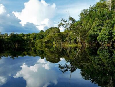 Snorkel in the Sucuri River