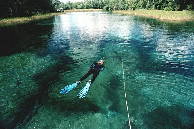 Snorkel Or Dive The Amazing Rainbow River Florida - Why Rainbow River makes a fine half-day outing