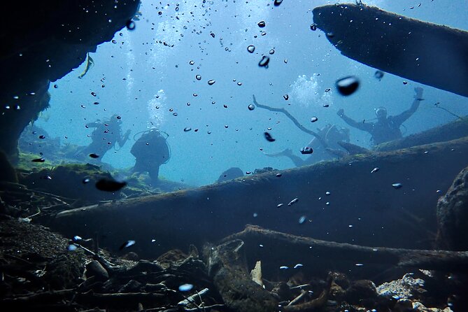 Snorkel Or Dive The Amazing Rainbow River Florida - The boat ride is part of the attraction