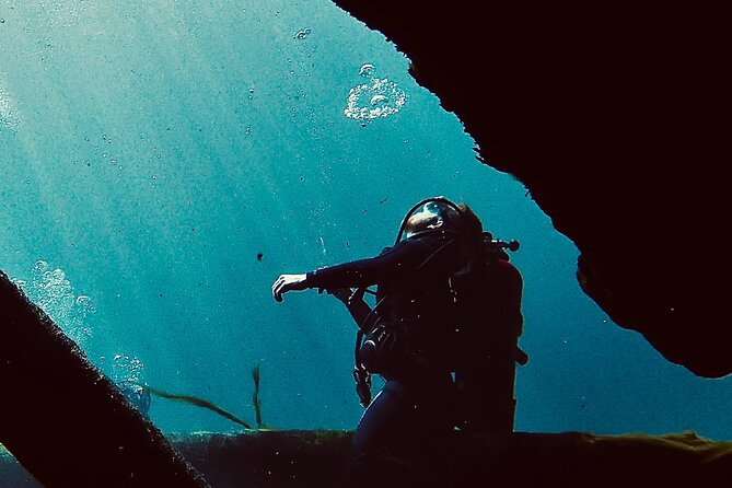 Snorkel Or Dive The Amazing Rainbow River Florida - Snorkeling the clear current