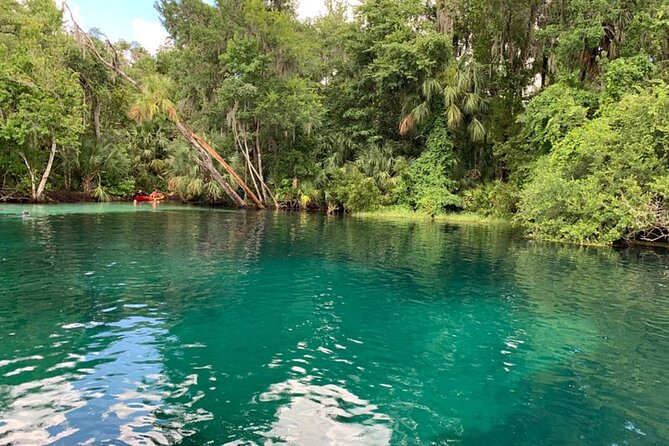 Snorkel Or Dive The Amazing Rainbow River Florida - Dunnellon, Crystal River, and Three Sisters Springs