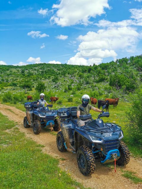 Split: Dalmatian Quad Tour with River Swimming & Picnic - A route with rocks, roads, and wide views
