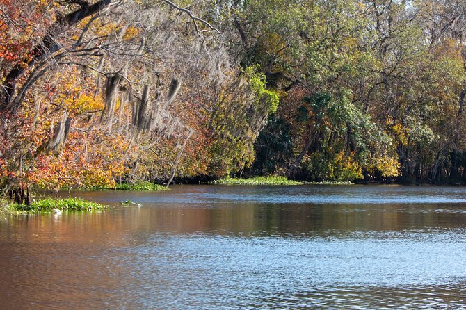 St. Johns River Cruise - Blue Spring State Park - Entering Blue Spring State Park before the boat departs