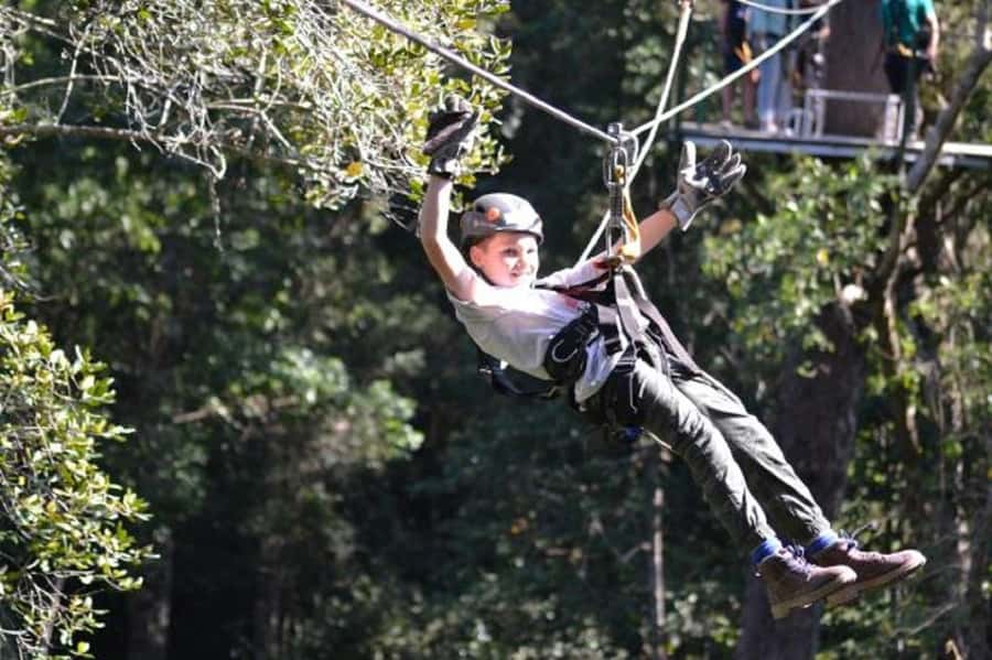 Storms River: Tsitsikamma National Park Zipline Canopy Tour - Starting in Storms River with the right expectations