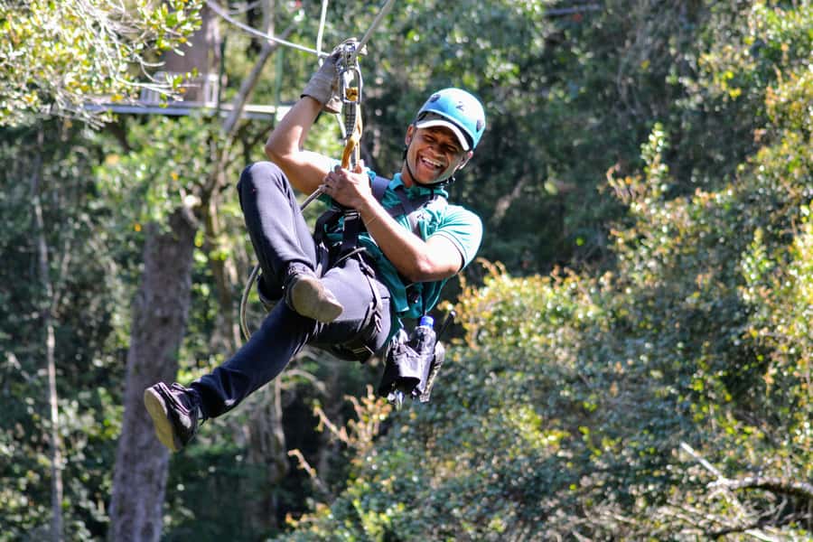 Storms River: Tsitsikamma National Park Zipline Canopy Tour - Flying through Outeniqua Yellowwoods