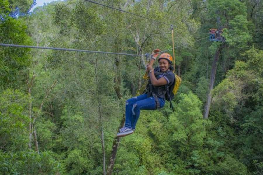 Storms River: Tsitsikamma National Park Zipline Canopy Tour - A forest lesson between the platforms