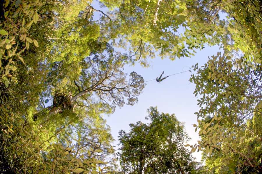 Storms River: Tsitsikamma National Park Zipline Canopy Tour - How $55 compares with what you receive