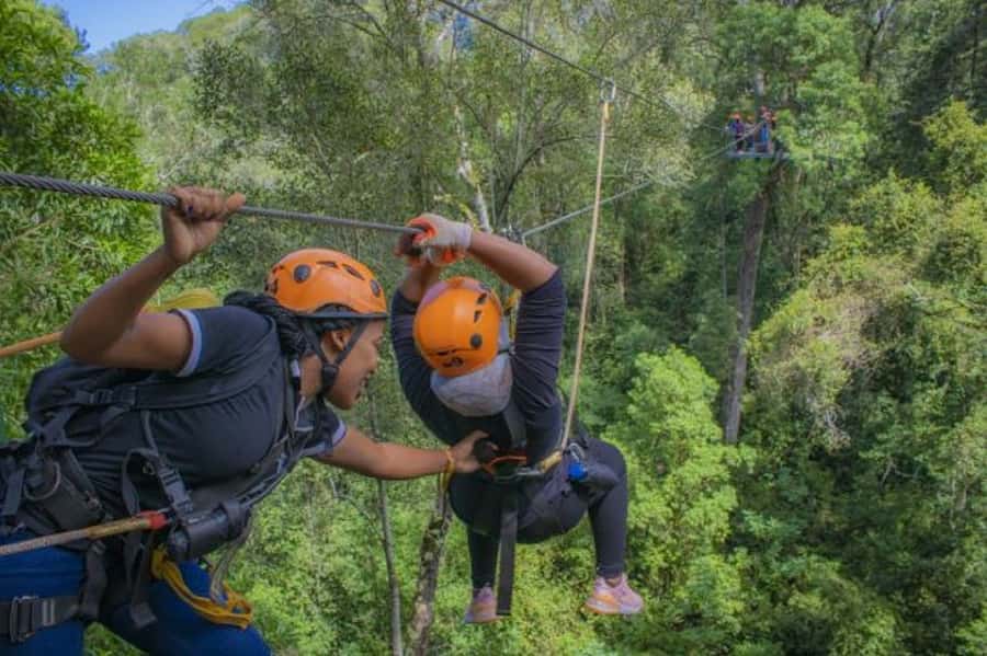 Storms River: Tsitsikamma National Park Zipline Canopy Tour - Who will enjoy this most