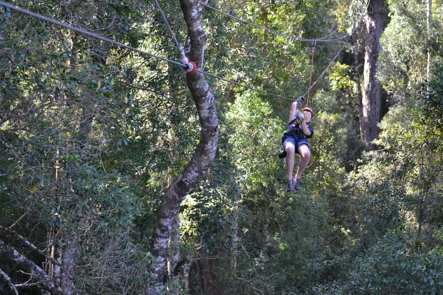 Storms River: Tsitsikamma National Park Zipline Canopy Tour - What to bring and what to leave behind