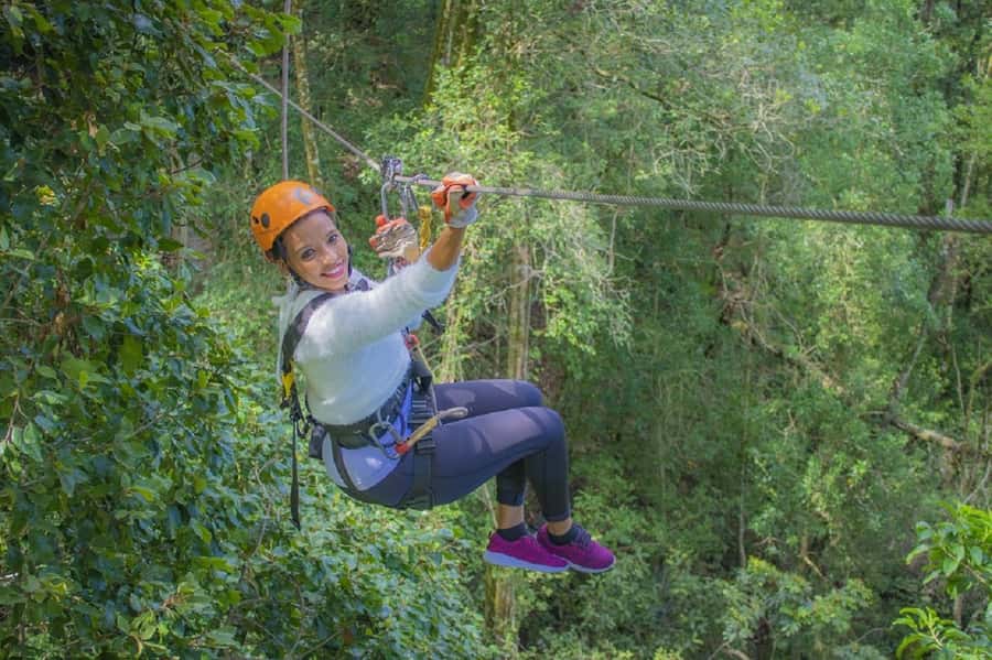 Storms River: Tsitsikamma National Park Zipline Canopy Tour - The safety briefing is part of the experience