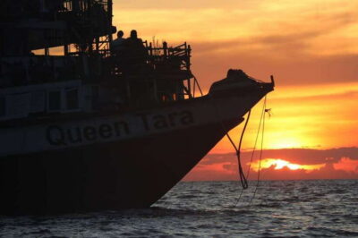 Sunset Dinner Tour: Tonle Sap Lake Floating Village