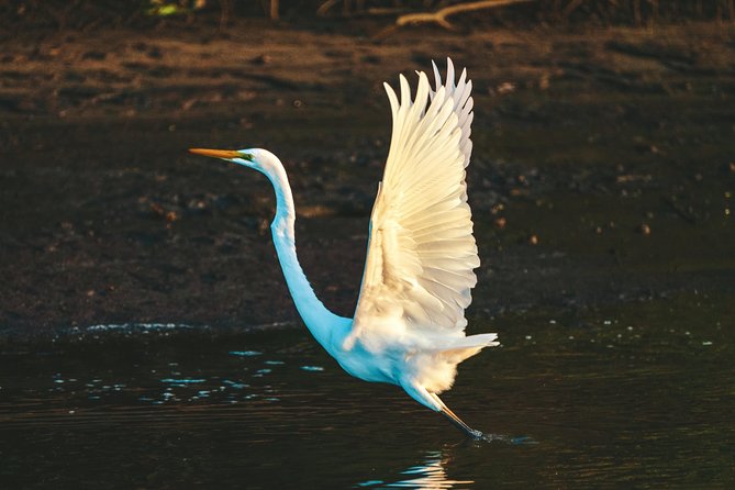 Sunset River Cruise near Byron Bay - Is the $50.21 price good value?