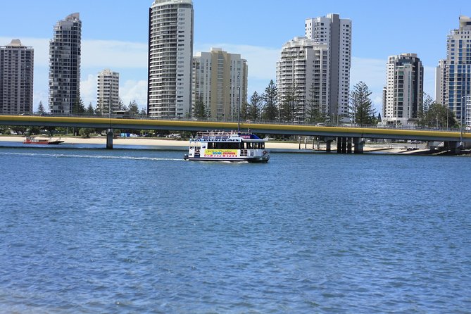 Surfers Paradise Sightseeing River Cruises - Why the Gold Coast waterways are worth your time