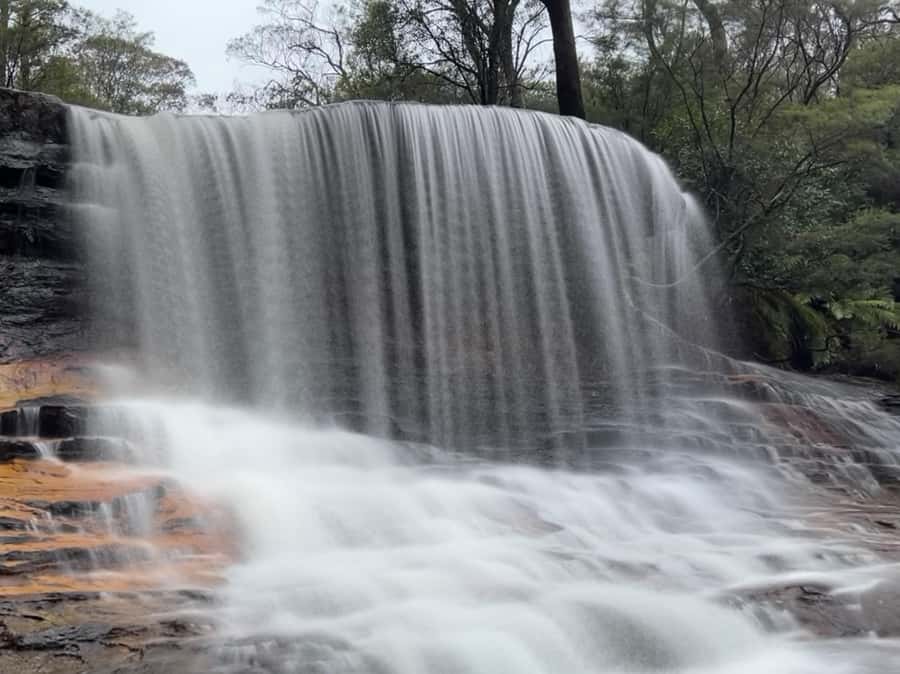 Sydney: Blue Mountains National Park Tour with River Cruise - Sydney Zoo and Australian wildlife
