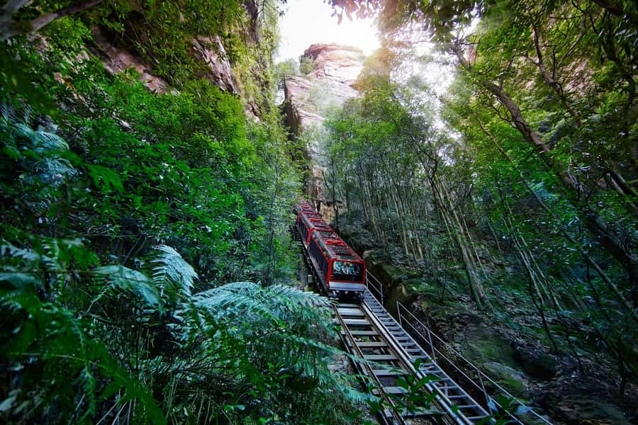 Sydney: Blue Mountains National Park Tour with River Cruise - Wentworth Falls and the short bushwalk