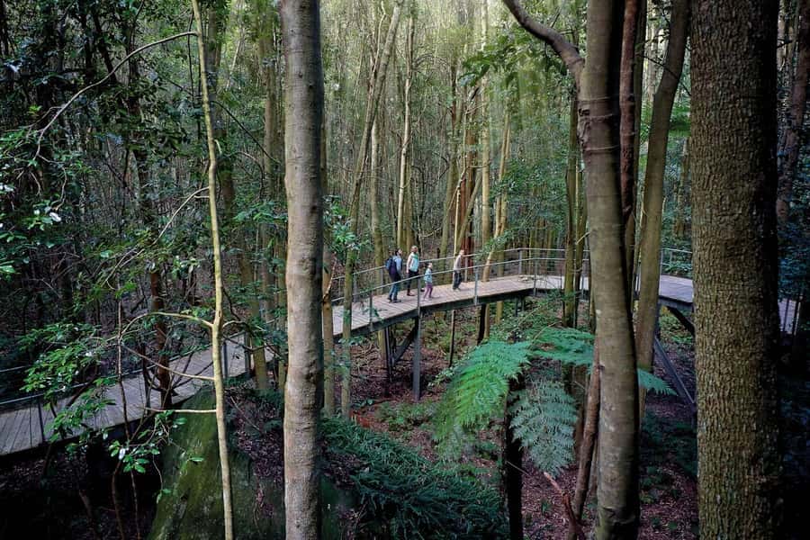 Sydney: Blue Mountains National Park Tour with River Cruise - Leura, the Garden Village