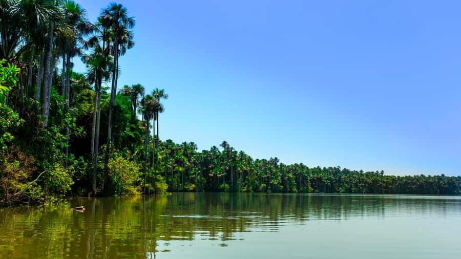 Tambopata: Multi-Day Amazon Rainforest Tour with Local Guide - Who should book this Tambopata trip?