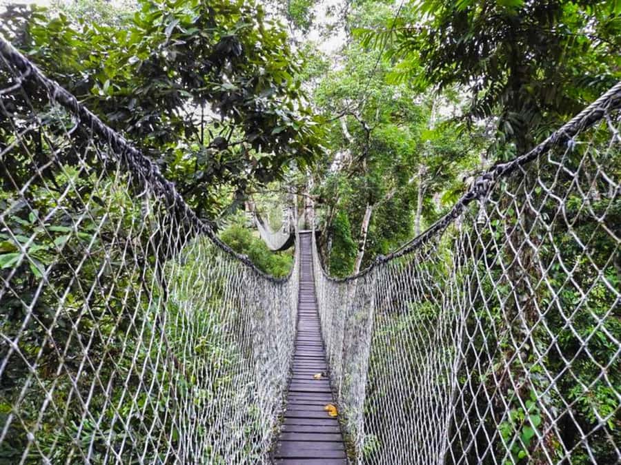 Tambopata: Multi-Day Amazon Rainforest Tour with Local Guide - Day 3: A family visit with a difficult ethical question