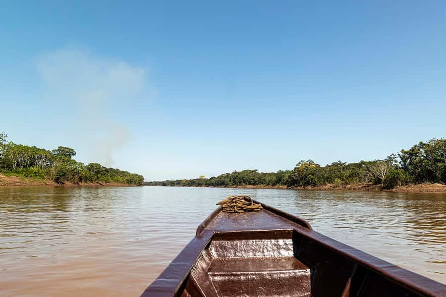 Tambopata: Multi-Day Amazon Rainforest Tour with Local Guide - Guides and the pace of the program