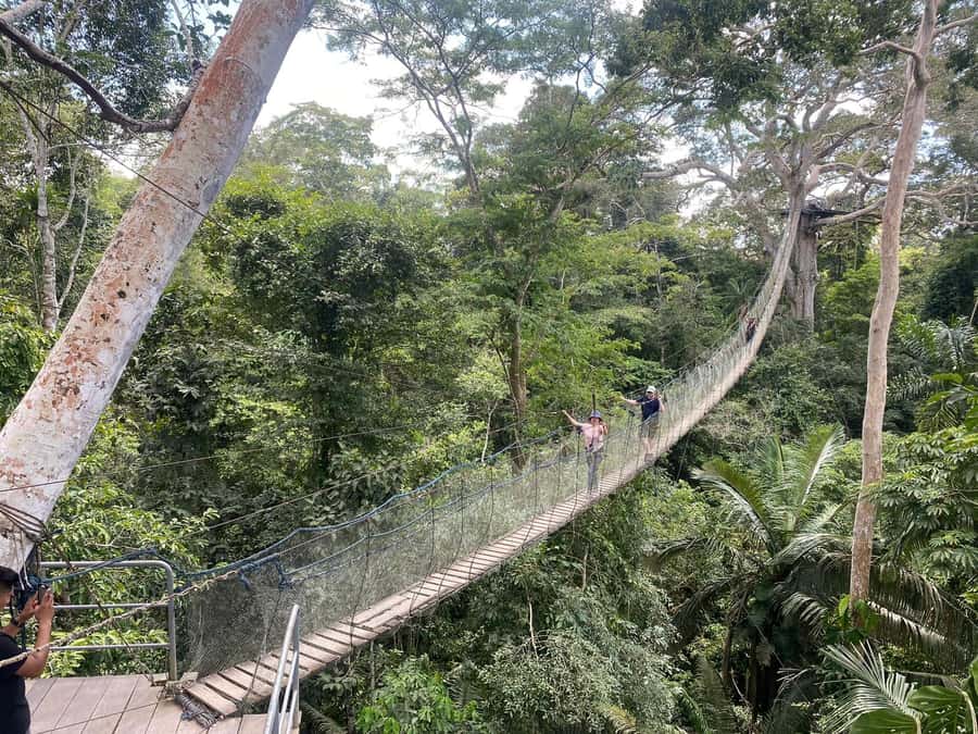 Tambopata: Multi-Day Amazon Rainforest Tour with Local Guide - Is $387 a good value?