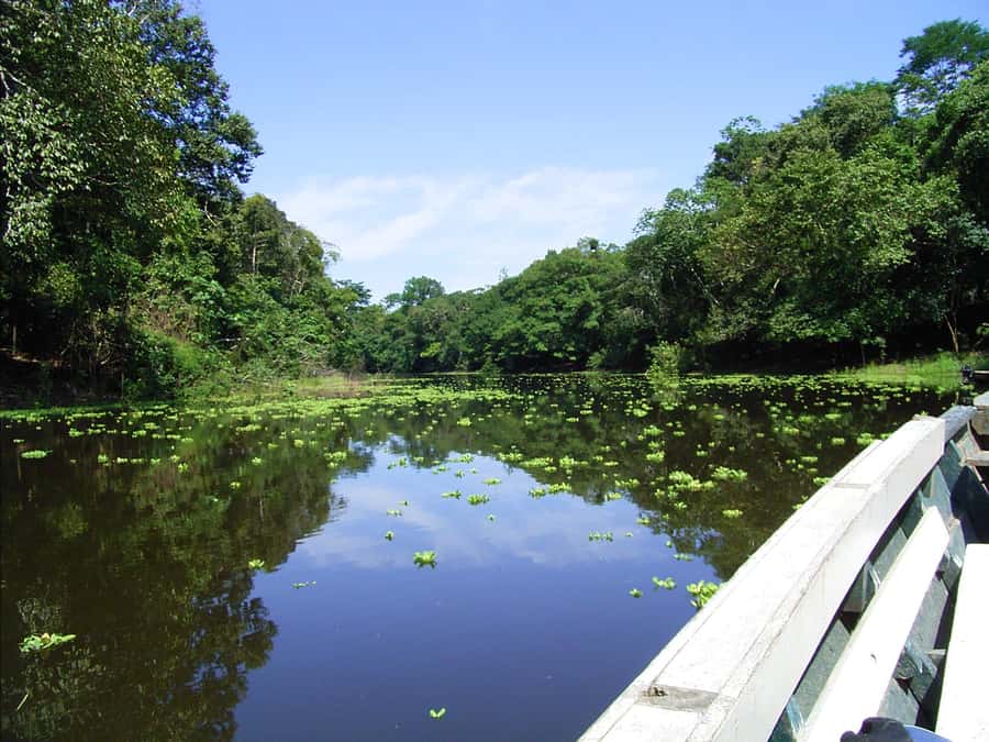 Tambopata Peruvian Amazon Jungle for Three Days/Two Nights - Should you book it?