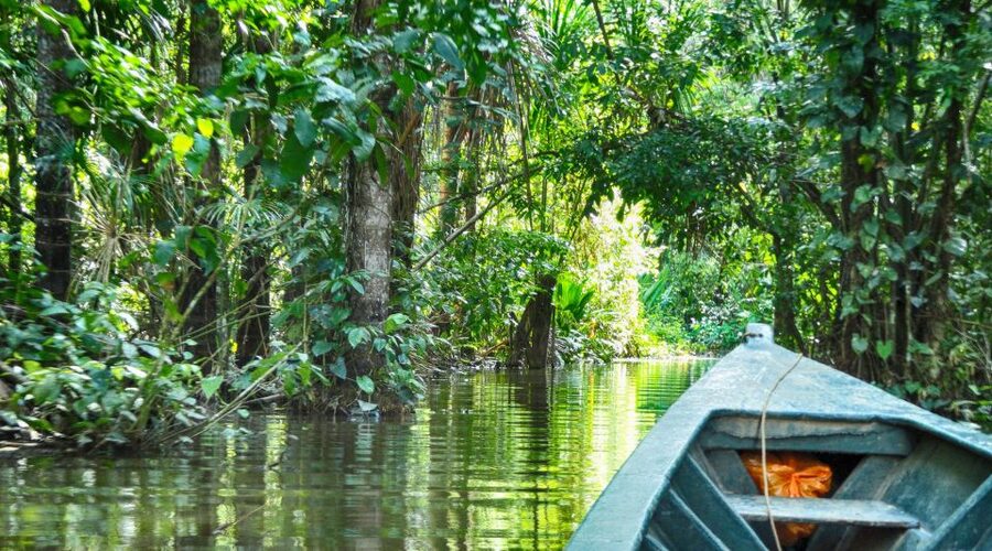 Tambopata Peruvian Amazon Jungle for Three Days/Two Nights - What the lodge is really like