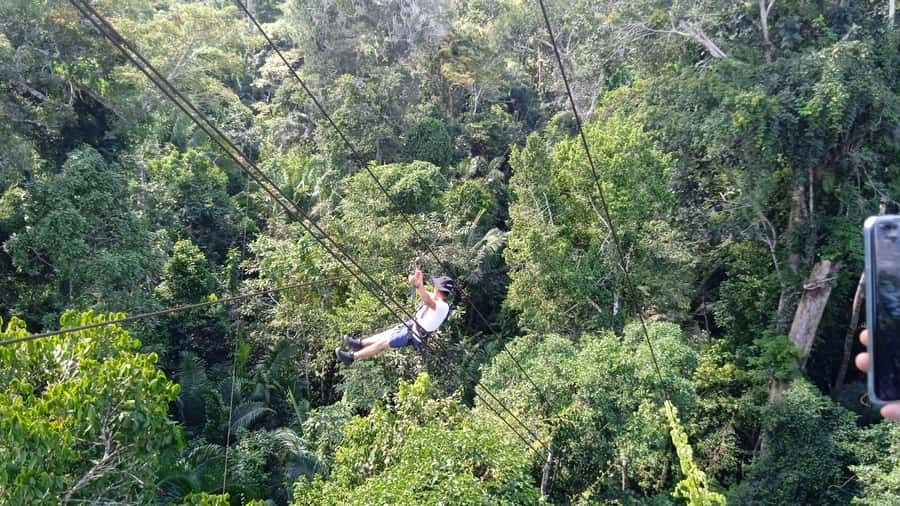 Tambopata Peruvian Amazon Jungle for Three Days/Two Nights - Is $350 a good value?