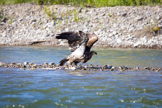 Tetons and Snake River Scenic Float Trip In Jackson Hole - Is the $120 price a good value?