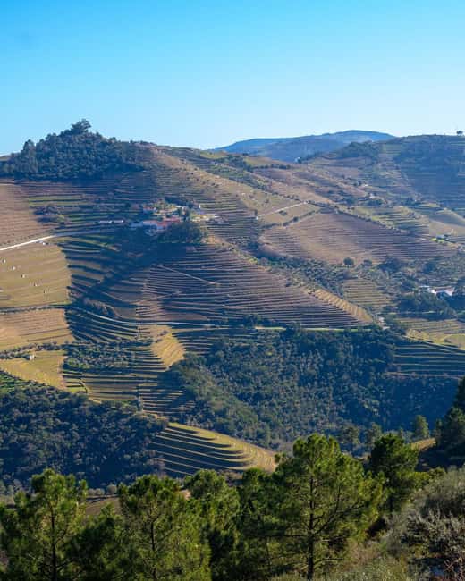 The Douro Valley Tour – Late Start Experience - A second wine experience in Pinhão