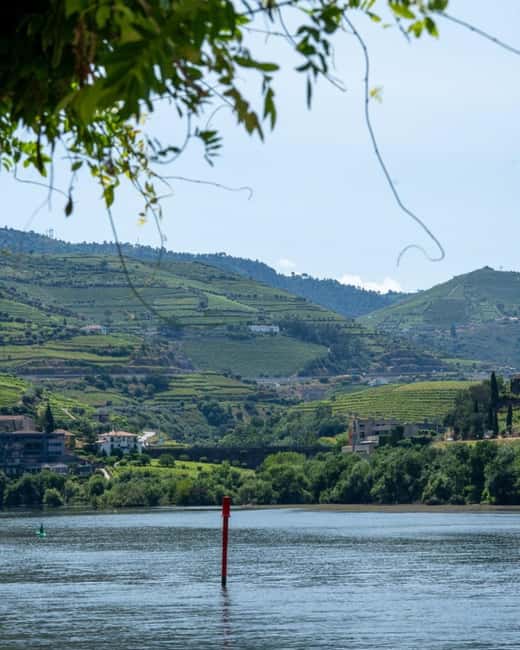 The Douro Valley Tour – Late Start Experience - Guides, transport, and the human side of the day