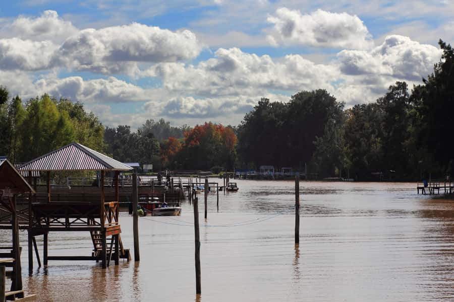 Tigre: River Delta Panoramic Boat Tour - Key points to know before boarding