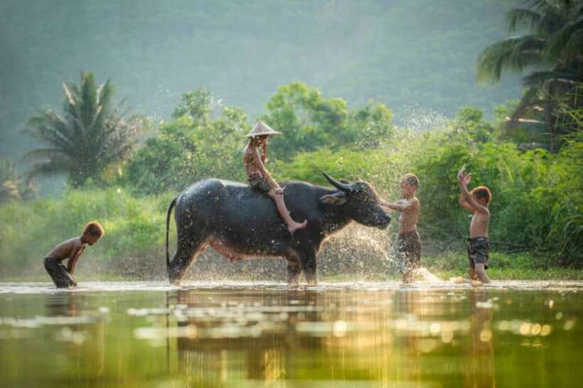 Tonle Sap Cruise & land Tour between Phnom Penh & Siem Reap - Is $239 a fair price?