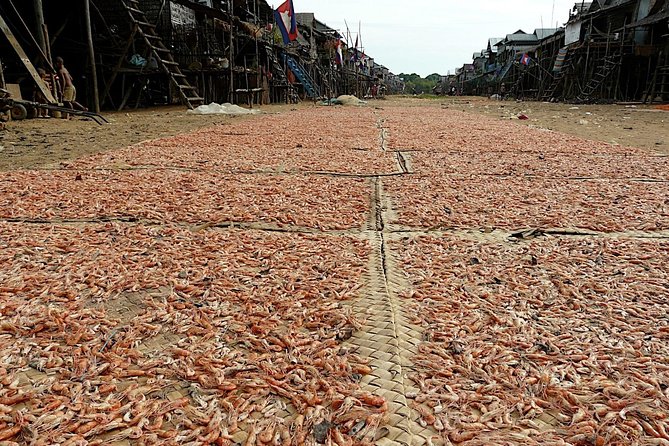 Tonle Sap Lake & Kampong Phluk Village Half-Day Tour - The optional canoe through the mangroves
