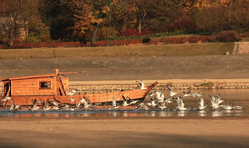 Toruń: Sightseeing Cruises on the Vistula River - Key points to know before boarding