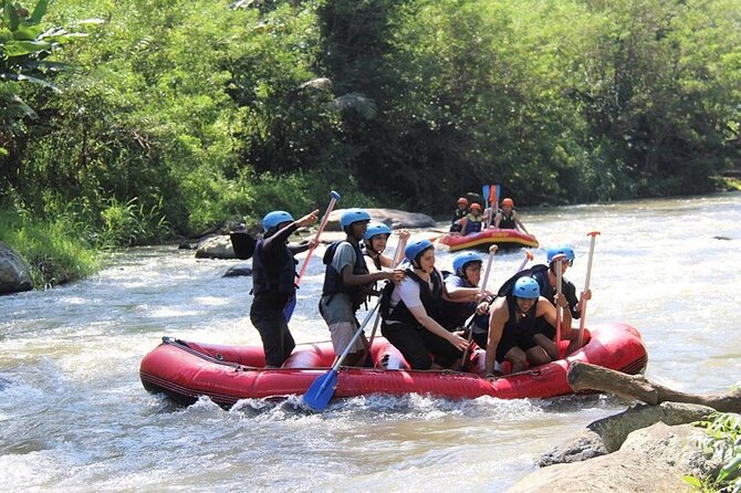 Ubud ATV Quad Bike with Ayung River Rafting Experience - Who will enjoy this most