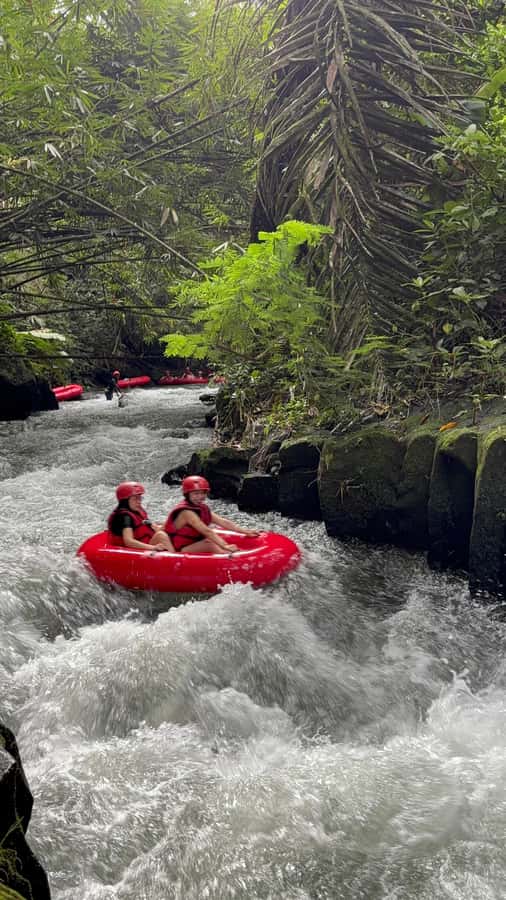 Ubud: Pakerisan Jungle River Tubing Adventure with Lunch - My take: book it if you want gentle adventure
