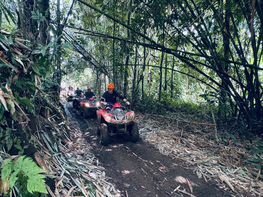 Ubud: River Cave Tubing Adventure & Gorilla ATV Quad Bike - Entering the river after the motorized section