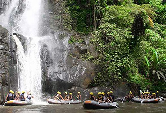 Ubud White Water Rafting on the Ayung River with Pickup & Lunch - From Jalan Raya Mambal Semana to the river