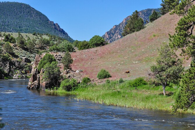 Upper Colorado River Half-Day Float Trip near Kremmling - Families, first-timers, and older rafters