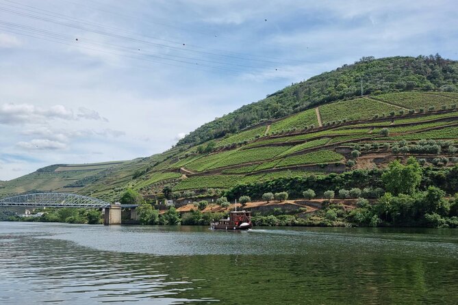 VALE DOURO, Premium Wine Tour, Wine Lunch, Private Boat - Who should book this experience