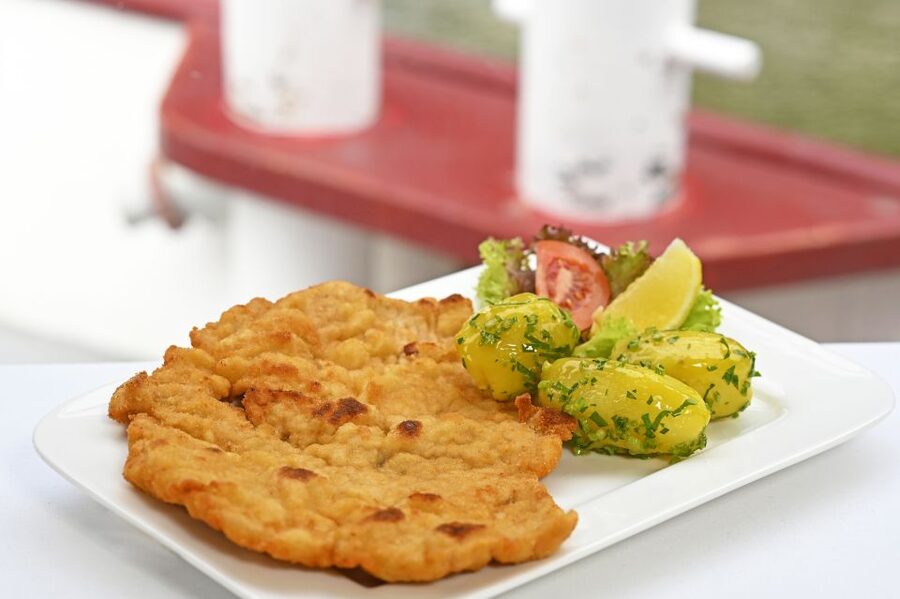 Vienna: Danube River Cruise w/ optional Viennese Specialties - Key details before you book