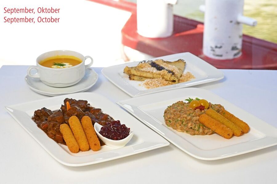 Vienna: Danube River Cruise w/ optional Viennese Specialties - Modern Vienna, the Danube Tower, and Millennium Tower