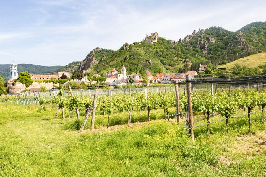 Vienna: Wachau Valley, Melk Abbey Tour with Danube Boat Trip - Melk, lunch, and the abbey