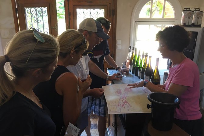 Vineyard cycle tours in and around Chinon, in the Loire Valley - Why a bicycle is the right way to see Chinon wine country