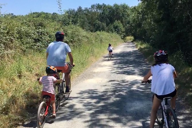 Vineyard cycle tours in and around Chinon, in the Loire Valley - Guides who shape the day