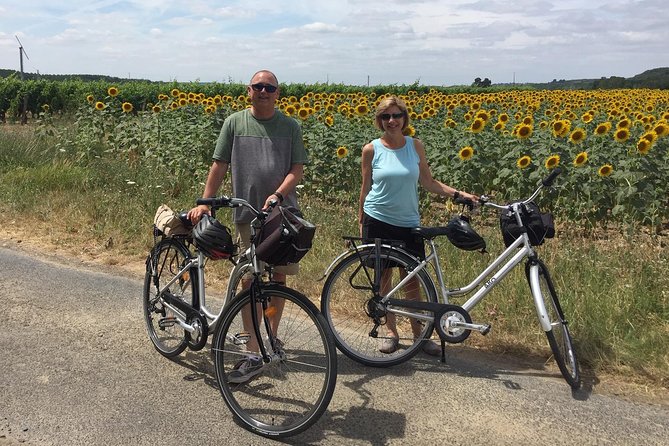 Vineyard cycle tours in and around Chinon, in the Loire Valley - Price, value, and the extra e-bike cost